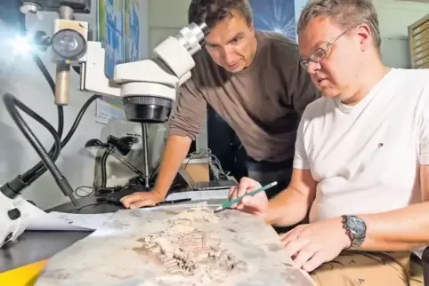 Betrachten jeden einzelnen Knochen und jede Schuppe: Geoskop-Leiter Sebastian Voigt und Urweltforscher Rainer Schoch.