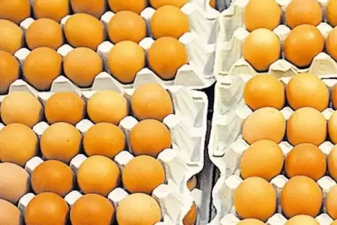 Fast sieben Milliarden Eier wurden im vorigen Jahr nach Deutschland importiert.