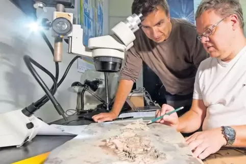 Betrachten jeden einzelnen Knochen und jede Schuppe: Geoskop-Leiter Sebastian Voigt und Urweltforscher Rainer Schoch.