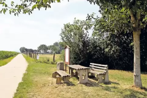 Vor rund 20 Jahren von der Naturschutzgruppe „Blaukehlchen“ erstellt: die Sitzgruppe am Altsheimer Weg.