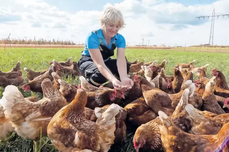 So sehen glückliche Hühner aus: Anja Busch füttert ihre Eierlieferantinnen.