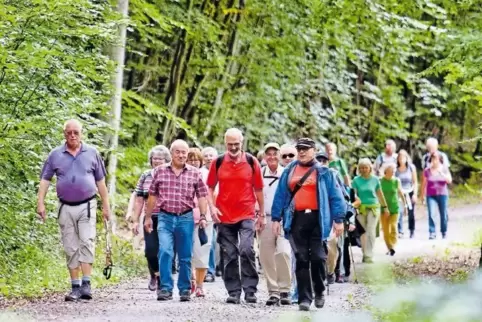 Die RHEINPFALZ-Wandergruppe bahnt sich ihren Weg durch den Wald nördlich der Stadt.