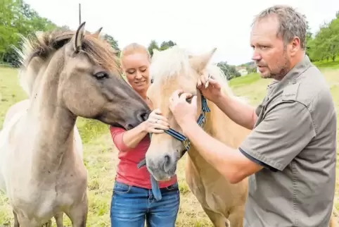 Bei der Behandlung eines Pferds: Tierarzt Alexander Schneiders und Helferin Cindy Kuhn.