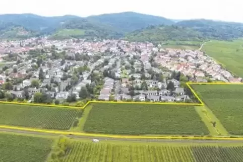 Im östlichen Teil der Stadt Wachenheim soll das Baugebiet Schwabenbach entstehen. Noch wächst auf den Flächen (gelb markiert) de