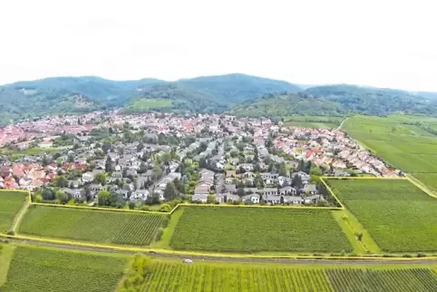 Im östlichen Teil der Stadt Wachenheim soll auf der gelb markierten Fläche das Baugebiet Schwabenbach entstehen.