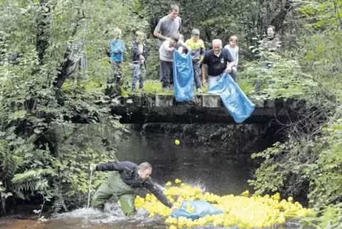 Mehr als 600 „Rennenten“ machten sich am Samstag auf der Schwimmstrecke in der Wieslauter auf den Weg ins Ziel.