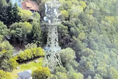 Höhepunkt im Maikammerer Wald: die Kalmit.
