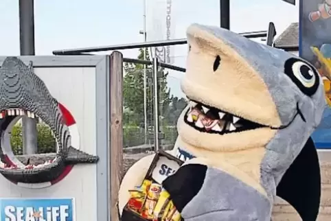Plädiert für gemeinsame Tourismus-Anstrengungen: Sharky vom Sealife.