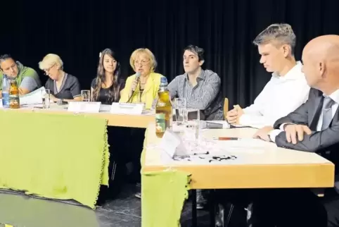 Auch bei der Bundestagswahl im Jahr 2013 befragten Schüler des Carl-Bosch-Gymnasiums die Ludwigshafener Direktkandidaten. Damals