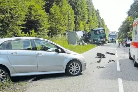 Der Lastwagen war in ein Waldstück gefahren.