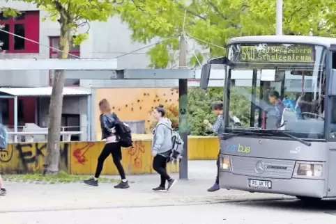 Im abgelaufenen Schuljahr besuchten 38 Schüler, die in Frankreich gemeldet sind, Schulen im Kreis – wie die Realschule plus Bad 