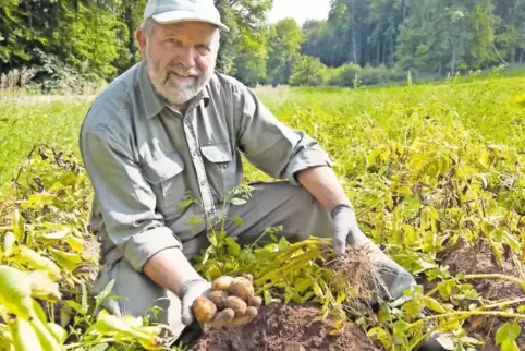 Meister der Knolle: Landwirt Karl Gortner überprüft, ob die Kartoffeln erntereif sind.