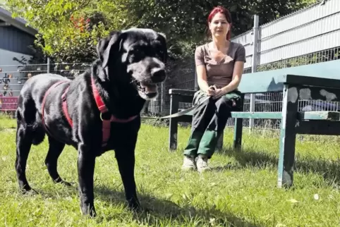 Labradorhündin Bulma genieße ihre neue Freiheit, sagt Tierpflegerin Stefanie Heinrich.