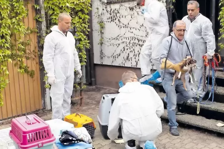 Die Ermittler fanden die Tiere in Wohnh&auml;usern der &Auml;rztin.