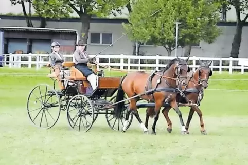 Starker Auftritt: Bella Finetta (links) und Chilii (mit zwei I). Auf dem Wagen Anja Zoske, dahinter Jasmin Houy.