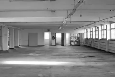 In der früheren Peter-Kaiser-Fabrik in Lemberg wird im September Kunst gezeigt. Danach wird die Fabrik zu Lofts umgebaut.