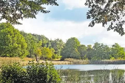 Die Planungen für den Seewoog sind gemacht und werden nun öffentlich ausgelegt.