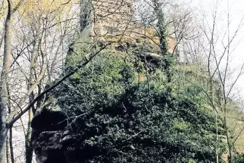 Die derzeit sonst gesperrte Ruine Meistersel bei Ramberg ist Ziel der Exkursion am Freitag.