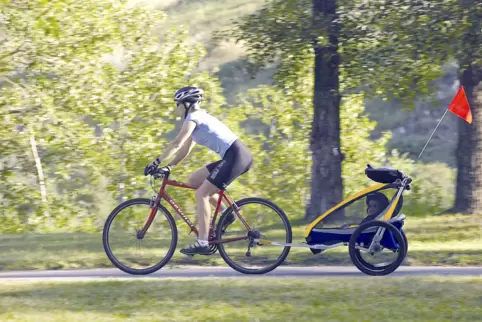 Symbolbild_Verkehr_Radfahren_Kinderanhaenger_DPA.jpg