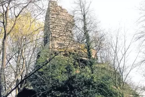 Ziel einer Exkursion: die Ruine Meistersel bei Ramberg.