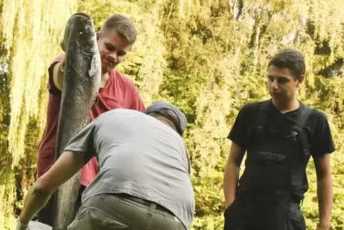 Für viele Fische kam der Einsatz der Helfer zu spät – sie überlebten den Sauerstoffmangel nicht.  Foto: J. Hoffmann