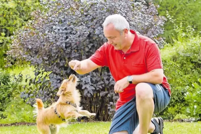 Eigentlich war Alexander Ulrich gegen einen Familienhund. Eines Abends war Balu aber plötzlich da und eroberte das Herz des Link Eigentlich war Alexander Ulrich gegen einen Familienhund. Eines Abends war Balu aber plötzlich da und eroberte das Herz des Link