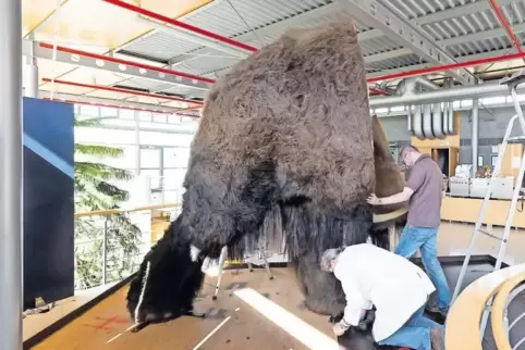 Geoskop-Mitarbeiter beim Aufbau des Mammuts.