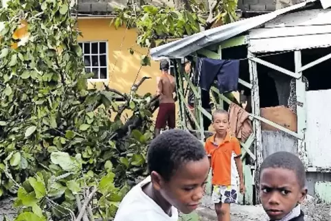 Aufräumarbeiten nach dem großen Sturm: In der Dominikanischen Republik schleppen Kinder große Äste weg.
