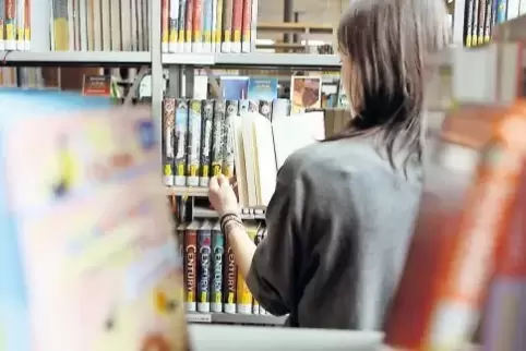 Stetig erweitern die Bibliotheken im Land ihre Bestände. Nach der Buchmesse wird vermehrt Lektüre aus Frankreich darunter sein.