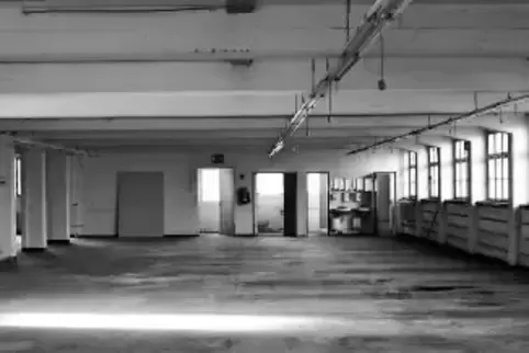 In der früheren Peter-Kaiser-Fabrik in Lemberg wird in diesem Monat Kunst gezeigt. Danach wird die Fabrik zu Lofts umgebaut.