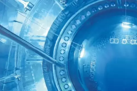 Nach den nicht realisierten BASF-Plänen war das Thema Atomkraftwerk für Ludwigshafen vom Tisch. Hier auf dem Foto: der Blick in 