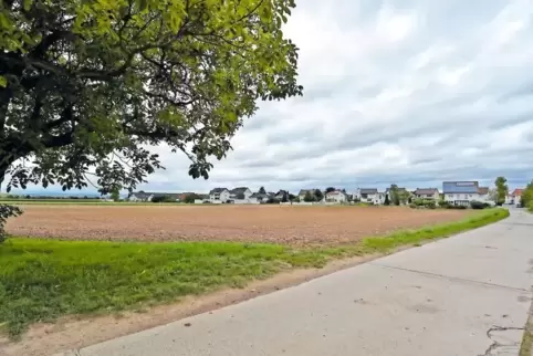 Auf diesem Acker südlich der Bergstraße (im Hintergrund) soll Heßheim ein Neubaugebiet bekommen.