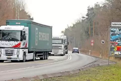 Die geplante Brücke am Langenberg wird laut BI so lang, dass die Bienwald-B-9 sechsspurig darunter hindurchgeführt werden könnte