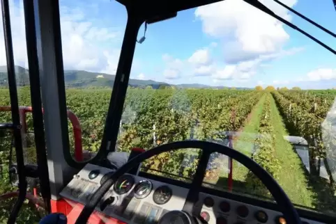 Spätfrost, Starkregen und Hagel haben die Weinmosternte in diesem Jahr auf den geringsten Stand seit sieben Jahren gedrückt. Fot