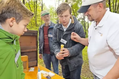 Startklar: Für den Bienen-Wettkampf werden die Teilnehmerinnen mit einem Punkt markiert. Von links: Louis Störtz, Eckhard Kruse,