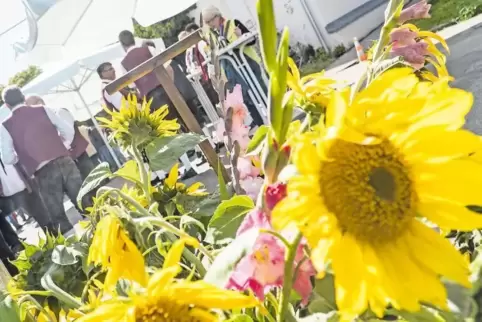 Podiumsdiskussion, Musik, ein kleiner Bauernmarkt, Betriebsführungen: Zur Eröffnung der Öko-Tage des Landes und dem gleichzeitig