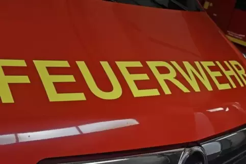 Garnicht gefreut hat sich ein Mann aus Wörth, als die Feuerwehr ihn aus seiner Wohnung retten wollte.  Foto: ARCHIV