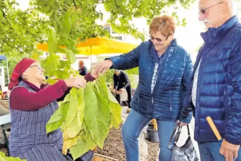 Alte Kunst, aber noch nicht vergessen: Das Tabakeinfassen bringt Roselinde Hery Kerwebesuchern näher.