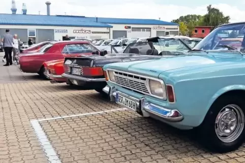 Alt, aber flott: Die Oldtimer waren in den Landkreisen Germersheim und Südliche Weinstraße unterwegs.