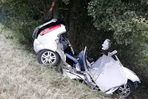 Unter anderem ein Schädel-Hirn-Trauma hat der Fahrer dieses Wagens erlitten, als er zwischen Abenheim und Herrnsheim am Dienstag