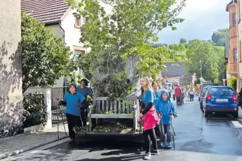Die Nordic-Walking-Damen hatten einen Teil ihres Waldes gleich mitgebracht.