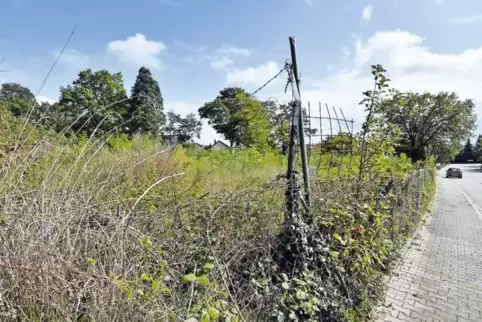 Hier soll gebaut werden: Blick auf das Gelände beim TC, rechts davon die Dr.-Siebenpfeiffer-Straße.