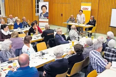 Beim CDU-Kreisparteitag im Auerbacher Hof am Dienstagabend sprach sich Bundestagsabgeordnete Anita Schäfer strikt gegen Steuerer