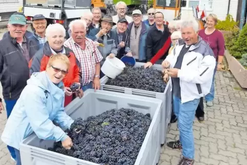 Magere Ernte, aber viel Spaß: die Helfer bei der Traubenlese nach getaner Arbeit.