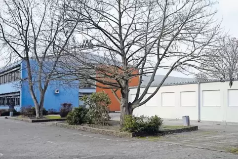 Die Container, die während der Bauzeit als Ausweichquartier genutzt werden sollen, stehen seit dem vergangenen Jahr auf dem Schu