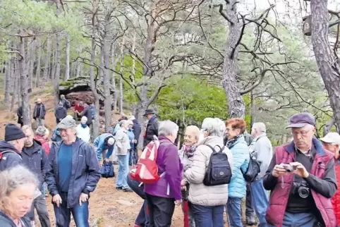 Am dritten Tag ging es für die Teilnehmer der Wanderwoche auf den Aussichtspunkt am Eichelberg oberhalb von Busenberg.