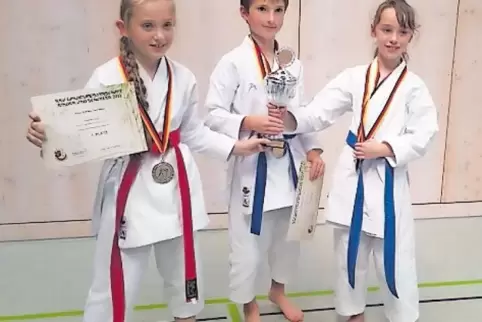 Als Kata-Team nicht zu schlagen (von links): Liana Sautner aus Winnweiler, der Gonbacher Alexander Koch und Nadine Poh.