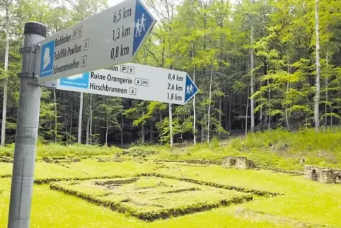 Die ringförmigen Reste des Bärenzwingers im Karlsbergwald sollen nach den Vorgaben des Denkmalschutzes aufgearbeitet werden.