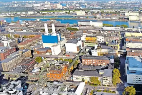 Die Ludwigshafener BASF ist das mit weitem Abstand umsatzstärkste Unternehmen in Rheinland-Pfalz. Allerdings ging der Konzernums