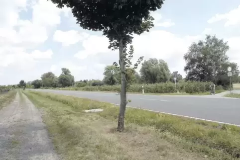 Auf der Nordseite der K5 soll der Radweg gebaut werden. Eine Überquerungshilfe soll als Bremse dienen, um den Weg über die Kreis